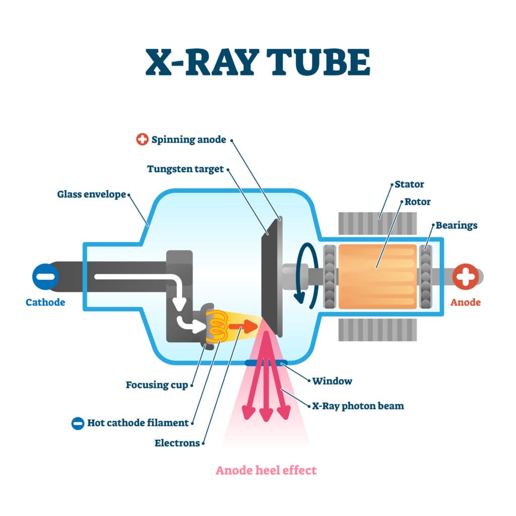 A color illustration showing the different parts of an X-ray tube.