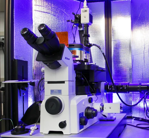 Mossbauer Spectroscopy